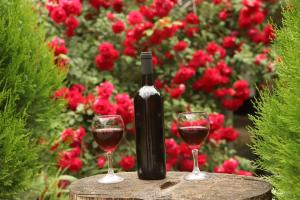 Сад в Guesthouse Mtkvari