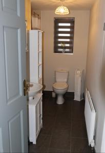 安特里姆的住宿－The Snug At Kingfisher Cottage，一间带卫生间和水槽的浴室