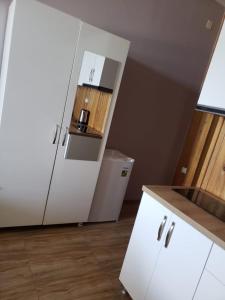 Kuchyň nebo kuchyňský kout v ubytování MIDIA Guest House