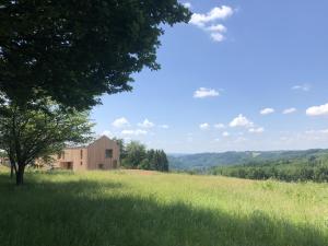 een grasveld met een schuur op de achtergrond bij Le pré de Régine et Joseph in Malmedy