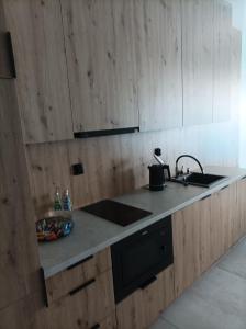 a kitchen with a sink and a counter top at BOSZKOWO Apartament "EDEL" 106 Aquarius in Boszkowo-Letnisko