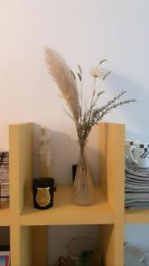 a vase with a plant in it on a shelf at Chambre d'hôtes THE YELLOW CUBE in Aubière