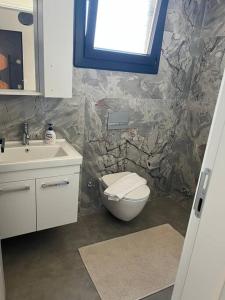 a bathroom with a toilet and a sink and a window at Ozy Apart / Can Andifli in Kas