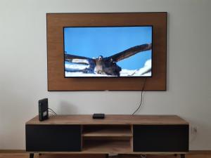 een tv scherm met een vogel in de lucht bij Apartament Galeria Warmińska in Olsztyn