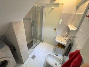 a bathroom with a shower and a sink and a toilet at Apartment Kaštel in Pazin