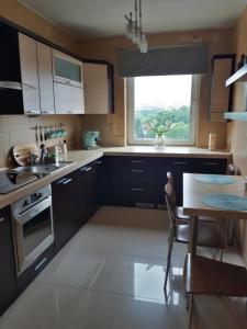 Kuchyňa alebo kuchynka v ubytovaní Apartament Galeria Warmińska