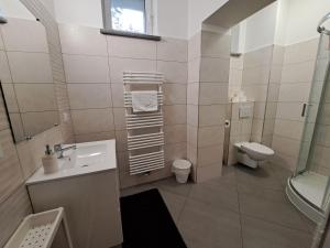 シュクラルスカ・ポレンバにあるWILLA DobraNockaの小さなバスルーム(洗面台、トイレ付)