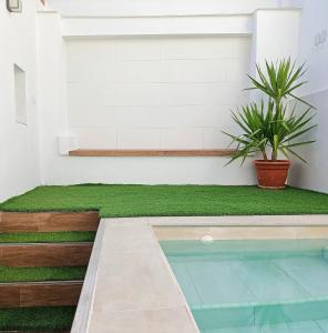 The swimming pool at or close to HELOHOME