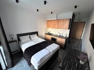 una camera con un letto e un lavandino di 33 Modern Warsaw Apartments a Varsavia