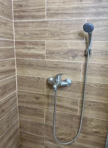 a shower with a shower head in a bathroom at In Dream Apartman in Inđija
