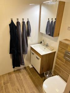 a bathroom with a sink and a toilet and a mirror at In Dream Apartman in Inđija