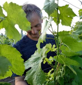 Majutusasutuse Winzerhof Fleischmann külastajad