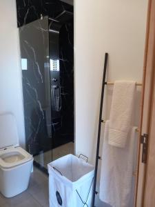 a bathroom with a toilet and a glass shower at Casa da Bela Vista in Braga