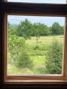 una finestra con vista su un campo alberato di La Maison du Bonheur & Spa 