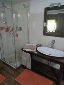 ein Bad mit einer Dusche, einem Waschbecken und einem Spiegel in der Unterkunft Maison du Mont in Aosta
