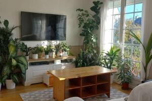 ein Wohnzimmer mit vielen Topfpflanzen in der Unterkunft Grande maison familiale proche port de Vannes in Vannes