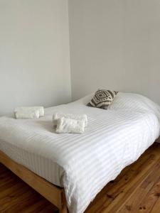Una cama blanca con dos almohadas encima. en Les Suites Paloises - Appt. 1 : Le Jurançon, en Pau