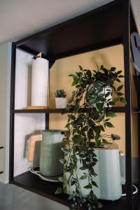 Gallery image of London Buck in Stralsund