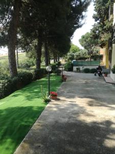 a driveway with green grass and trees in a yard at Affittacamere Roberta in Osimo