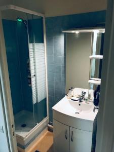 a bathroom with a sink and a shower at Appartement 60 m², porte de Saint-Cloud in Boulogne-Billancourt