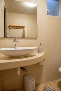 a bathroom with a sink and a mirror at Zoes House in Makrirrákhi