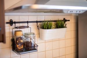 Kuchyňa alebo kuchynka v ubytovaní Apartman Pannonica Pin 0-24h