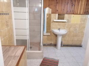 ein Bad mit einem Waschbecken, einer Dusche und einem WC in der Unterkunft maison de ville in Saint-Denis