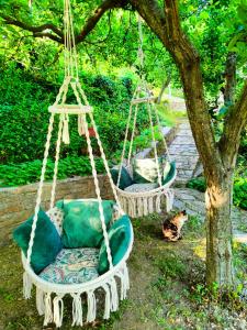 two swinging chairs and a cat sitting under a tree at Filoxenia in Tsagarada