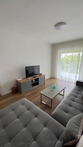 ein Wohnzimmer mit einem Sofa und einem Tisch in der Unterkunft GAVAS APARTMENTS VIVA City in Cluj-Napoca