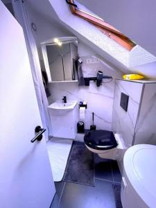 a small bathroom with a toilet and a sink at RobinsHomes-Industrial in Braunschweig