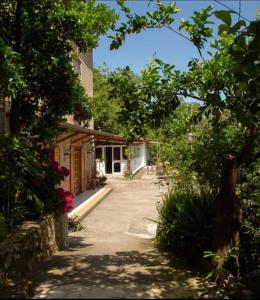 una strada vuota di fronte a una casa con alberi di Agriturismo b&b L arancio In fiore a Sant'Agnello