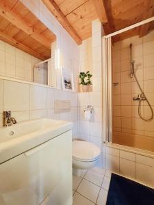 a bathroom with a toilet and a sink and a shower at Haus Bergblick in Rettenberg