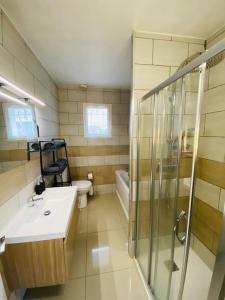 a bathroom with a shower and a sink and a toilet at Maison entière avec jardin - Comet Arena - Zenith in Olivet +15 photos