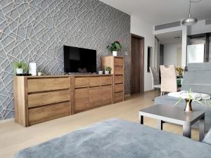 una sala de estar con TV en una cómoda de madera en Cozy 2 rooms flat - Castle view, en Bratislava
