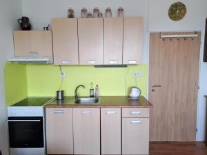 Il comprend une cuisine équipée d'un évier et d'une cuisinière. dans l'établissement Apartmán v podhůří Krušných hor, à Sokolov