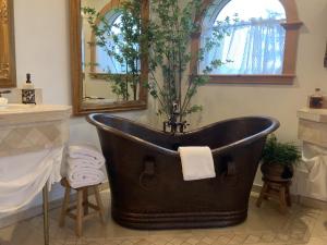 a bathroom with a bath tub with a plant in it at Abendblume in Leavenworth