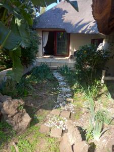 a garden in front of a house with a pathway at Ekuphumleni Holistic Healing Center in Johannesburg +14 photos