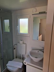 ein Badezimmer mit einem WC, einem Waschbecken und einem Spiegel in der Unterkunft Olive Mobile Home, Terra Park SpiritoS in Kolan