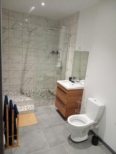 a bathroom with a shower and a toilet and a sink at Moment détente in Toul