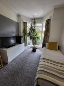 een slaapkamer met een bed en een televisie en een plant bij Aremo Room 1 in Torquay