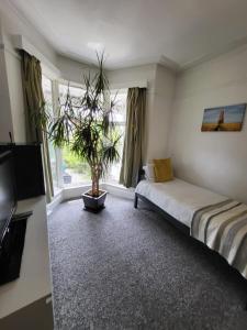 een slaapkamer met een bed en een potplant bij Aremo Room 1 in Torquay