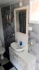 a bathroom with a sink and a mirror and a toilet at Lunden in Vittaryd