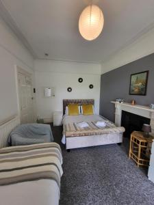 a bedroom with two beds and a fireplace at Aremo Room 1 in Torquay