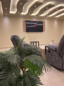 Sheikh Zayed的住宿－Modern and spacious duplex，带沙发和植物的客厅