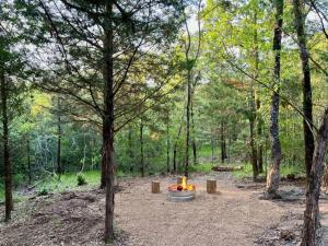 un foyer extérieur au milieu d'une forêt dans l'établissement HiddenAcres Cabin - woodsy private couples retreat, à Eustace