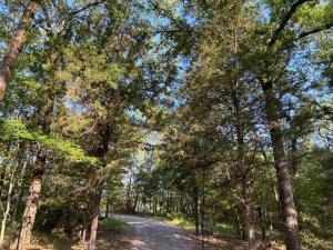 een onverharde weg door een bos met bomen bij HiddenAcres Cabin - woodsy private couples retreat in Eustace