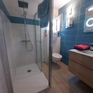 een badkamer met een douche, een toilet en blauwe tegels bij Le Lac in Tresserves