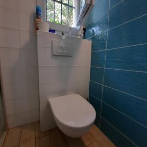 a bathroom with a white toilet and a window at Le Lac in Tresserves +15 photos