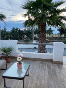 Balkón alebo terasa v ubytovaní Finca el atardecer - Apartamento Sol