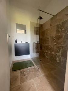 a bathroom with a shower with a sink and a glass shower stall at L'Echo de la nature in Sasseville